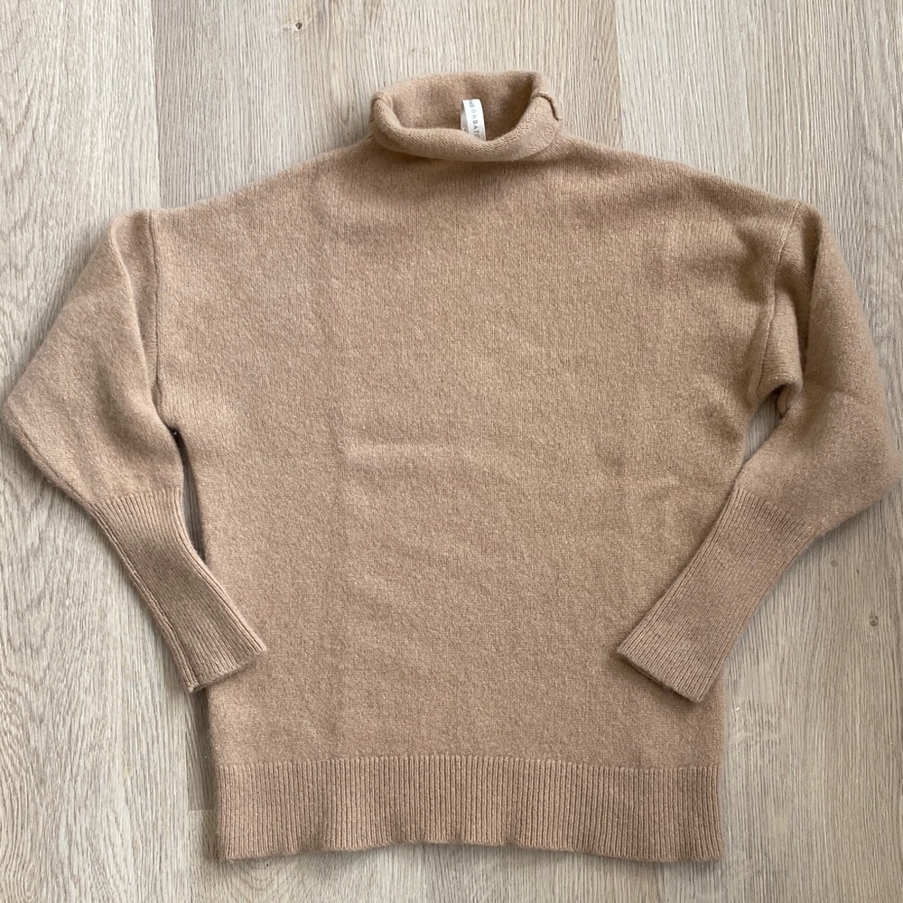 Babaton 100% Cashmere Turtleneck Sweater Tan Aritzia Minimalist Luxury Knit